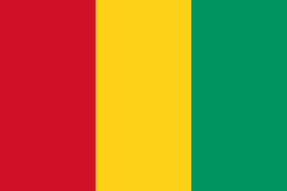 Flag of Guinea.svg مالي.. القوات الألمانية تسحب 60 جنديا من قاعدة بمطار باماكو الدولي