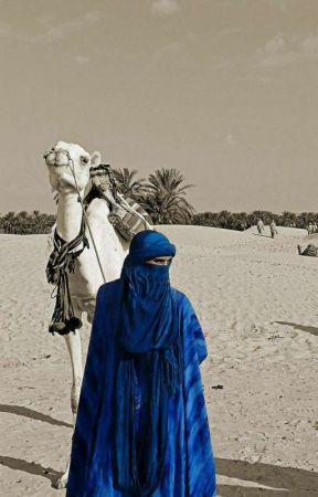 207120283 288 k895315 « الطوارق » .. الشعب الأزرق ملثمو الصحراء من هم وأين يعيشون ؟