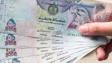 451267 17 800x500 1 مصر : تراجع في أسعار صرف الدرهم الإماراتي في البنوك المصرية اليوم الأربعاء .. و « درهم السوق السوداء » يواصل الإنهيار