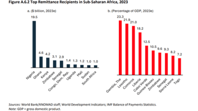 Picture1 6 غانا: 4.6 مليار دولار تحويلات مالية في 2023 - البنك الدولي 