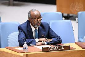 Somali UN Rep الصومال يتهم الجيش الإثيوبي بالتسلل إلى أراضيه