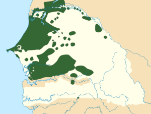 Wolof language map.svg اللغة الوَلَفية لغة الأغلبية في السنغال وبعض موريتانيا والتحول للعربية