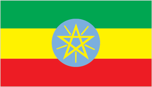 standard etiopia « لوموند الفرنسية » تطرح التساؤل لماذا تحولت إثيوبيا من « الأسد الأفريقي » لخيبة أمل للغرب في شرق أفريقيا ؟
