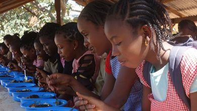 Guinea school feeding غينيا .. الأغذية العالمي يوافق على خطة بقيمة 143.5 مليون دولار لتعزيز الأمن الغذائي