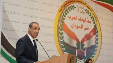 IMG 20240706 WA0007 وزير الخارجية المصري : النزاع الراهن في السودان قضية سودانية بالأساس