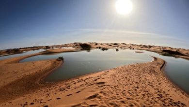 1000209515 المغرب .. أمطار استثنائية تحيي بحيرات أماتها الجفاف في صحاري جنوب شرق المملكة 