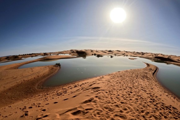 1000209515 المغرب .. أمطار استثنائية تحيي بحيرات أماتها الجفاف في صحاري جنوب شرق المملكة 