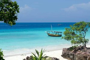 reasons to explore zanzibar 710x473 tcm9 99002 زنجبار: معرض AviaDev Africa 2025 في يونيو 