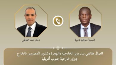 IMG 20250201 WA0010 وزيرا خارجية مصر وجنوب إفريقيا يبحثان التطورات في غزة والتصعيد في شرق الكونغو