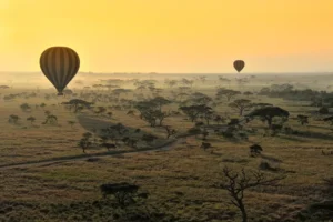 lead serengeti national park tanzania AFRICAPARKS0521 94241d1f7bfc478e808938d460a97e60 أفريقيا – أفضل 10حدائق مذهلة تمتد من الصحاري الافريقية إلى الغابات المطيرة والجبال