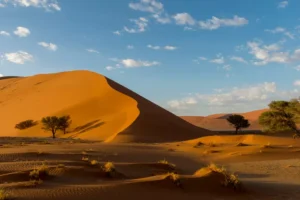 namib naukluft national park namibia AFRICAPARKS0521 c5ecfa90e55642bbb260d355fa72307b أفريقيا – أفضل 10حدائق مذهلة تمتد من الصحاري الافريقية إلى الغابات المطيرة والجبال