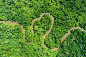 odzala kokoua national park republic of congo AFRICAPARKS0521 4871f52e245f46c4af5d8d66ea9a51f9 أفريقيا – أفضل 10حدائق مذهلة تمتد من الصحاري الافريقية إلى الغابات المطيرة والجبال