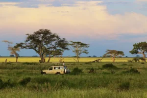 serengeti national park tanzania AFRICAPARKS0521 56d8257623d3420b81726146866ede9a أفريقيا – أفضل 10حدائق مذهلة تمتد من الصحاري الافريقية إلى الغابات المطيرة والجبال