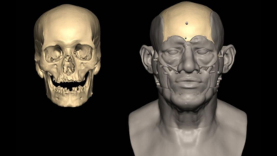 دراسة لأقدم حمض نووي لرجل مصري تكشف اصل المصريين 80% من شمال افريقيا و20% من العراق 9 Ancient egyptian genome دراسة لأقدم حمض نووي لرجل مصري تكشف اصل المصريين 80% من شمال افريقيا و20% من العراق
