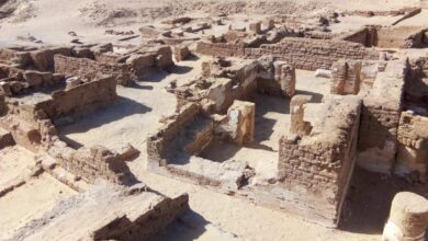 مصر: كشف أثري بواحة الخارجة يعود لبداية عصر اعتناق الاقباط للمسيحية 5 IMG 20250724 WA0005 مصر: كشف أثري بواحة الخارجة يعود لبداية عصر اعتناق الاقباط للمسيحية