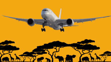 غرب إفريقيا: السفر بين دول المنطقة قطعة من العذاب مسافات قصيرة ورحلات غير آمنة 1 Best African Airlines 2023 غرب إفريقيا: السفر بين دول المنطقة قطعة من العذاب مسافات قصيرة ورحلات غير آمنة