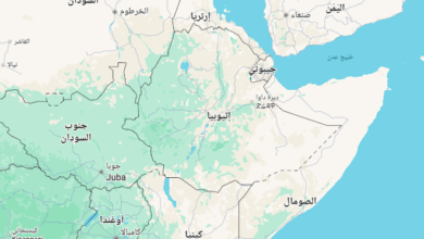 إثيوبيا ..هجوم مسلح بالقرب من أديس أبابا يسفر عن مقتل موظفين في بنك وأفراد من قوات الأمن 5 Screenshot 2025 08 18 230559 إثيوبيا ..هجوم مسلح بالقرب من أديس أبابا يسفر عن مقتل موظفين في بنك وأفراد من قوات الأمن