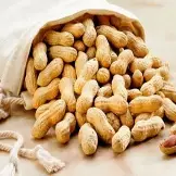 تناول اللبأ الحصري مرتبط بانخفاض خطر الإصابة بحساسية الفول السوداني 1 OIP 1 1 تناول اللبأ الحصري مرتبط بانخفاض خطر الإصابة بحساسية الفول السوداني